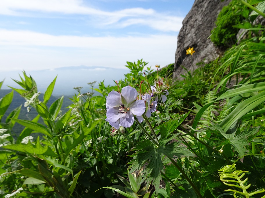 f:id:suteki-hokkaido:20210704190834j:plain