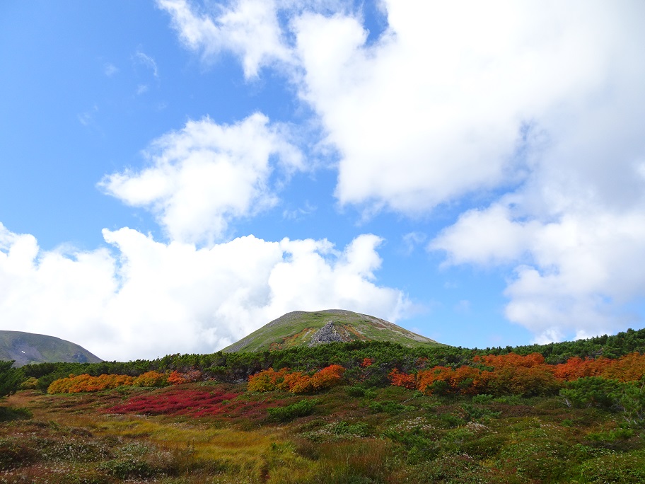 f:id:suteki-hokkaido:20210905214309j:plain