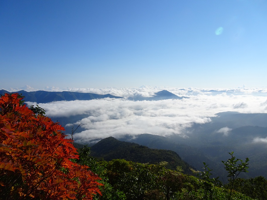 f:id:suteki-hokkaido:20210905214316j:plain