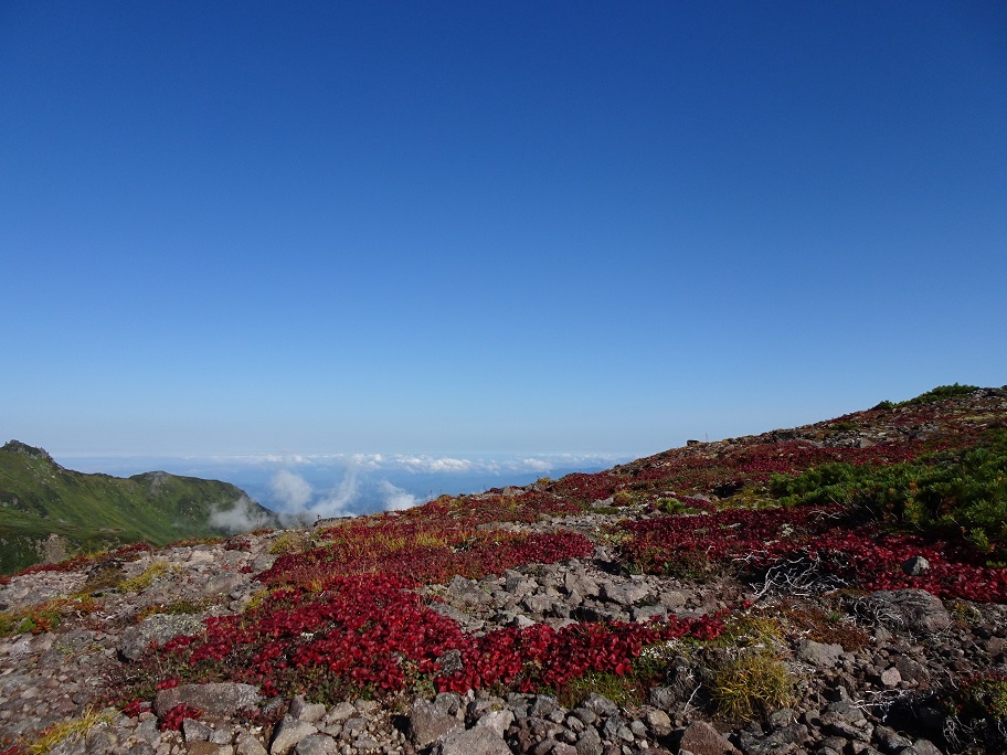 f:id:suteki-hokkaido:20210905214332j:plain