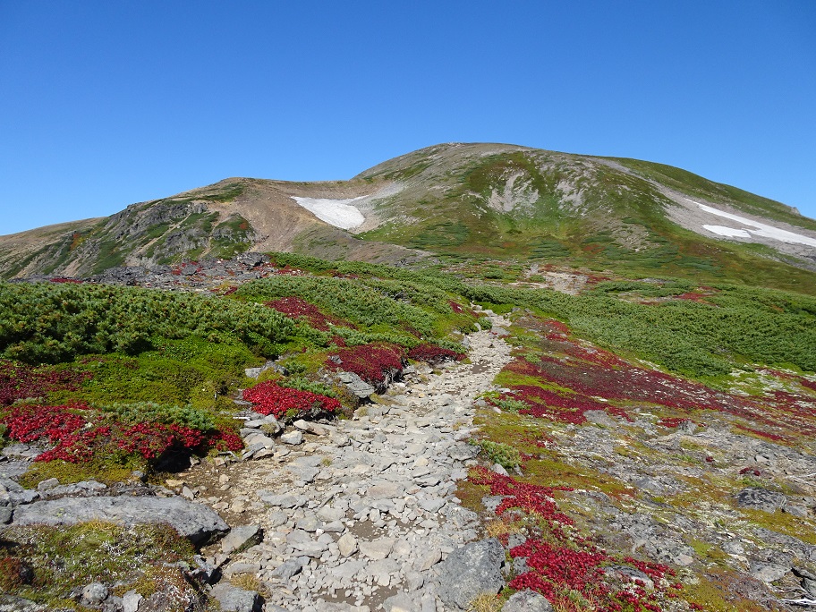 f:id:suteki-hokkaido:20210905214344j:plain