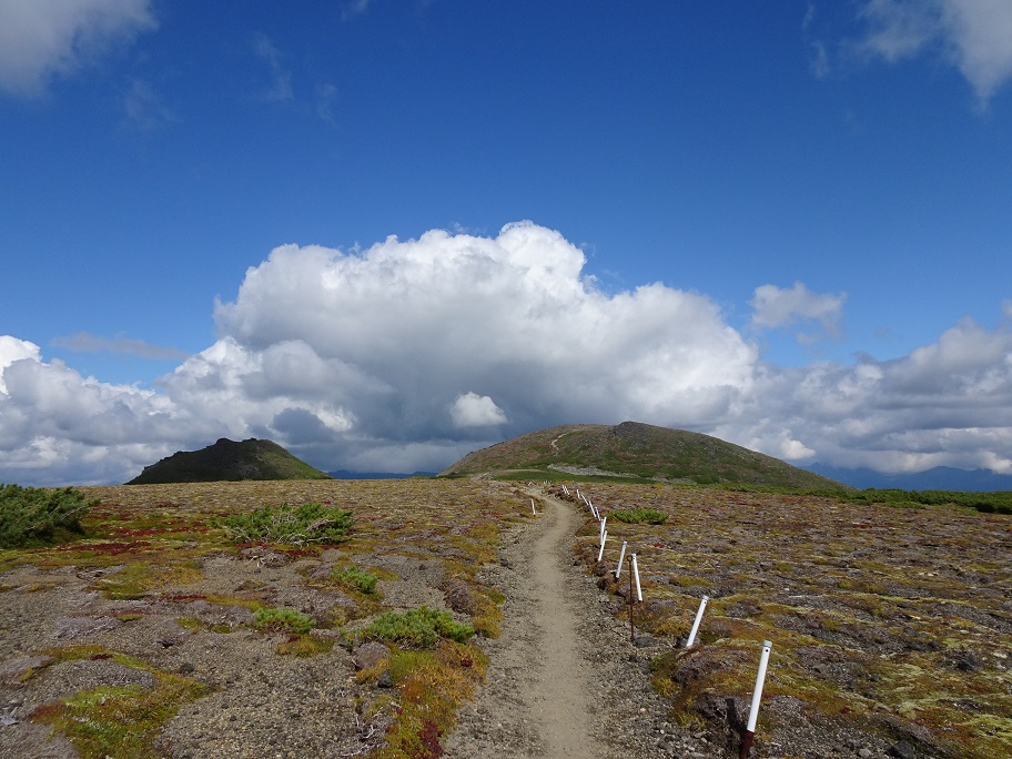 f:id:suteki-hokkaido:20210905214423j:plain