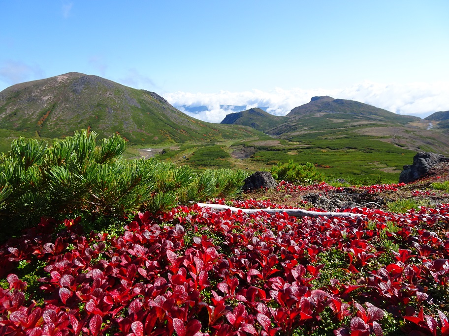 f:id:suteki-hokkaido:20210905223058j:plain
