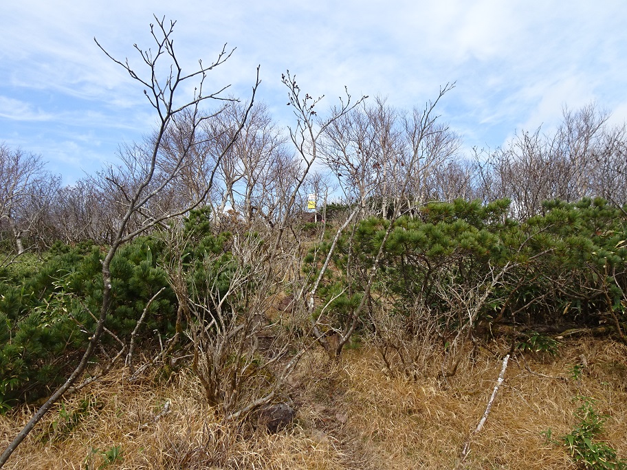 f:id:suteki-hokkaido:20211027190351j:plain