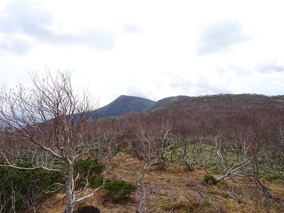 f:id:suteki-hokkaido:20211027190401j:plain