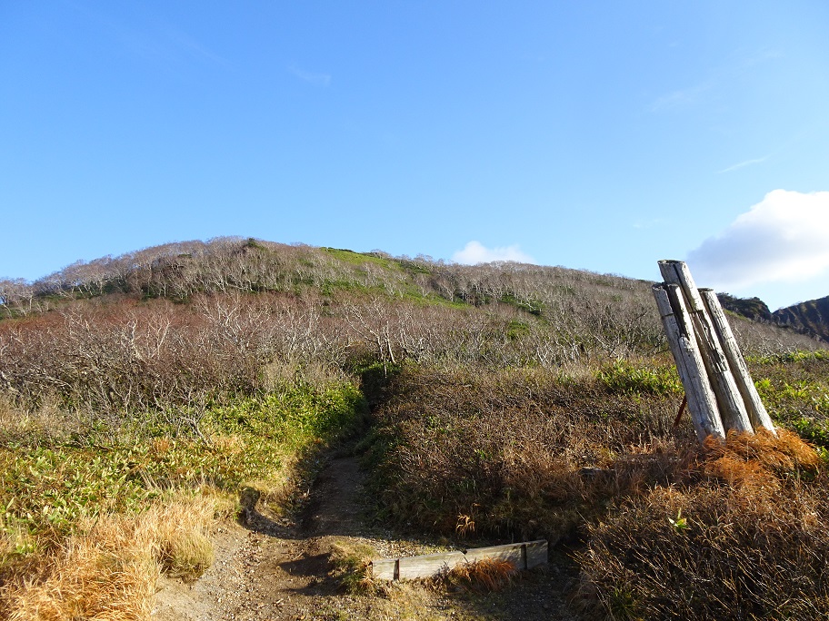 f:id:suteki-hokkaido:20211027190406j:plain