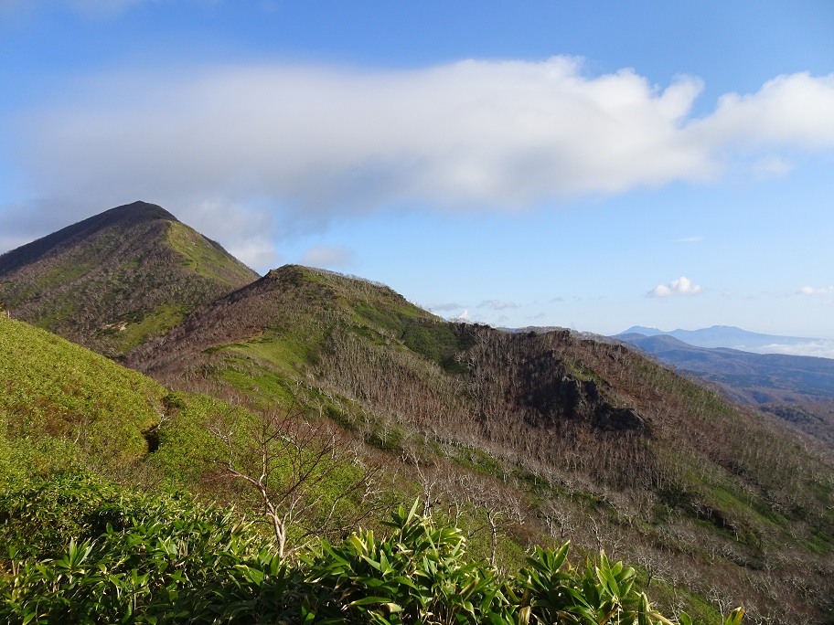 f:id:suteki-hokkaido:20211027190414j:plain
