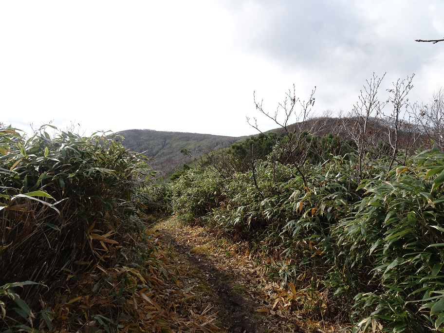 f:id:suteki-hokkaido:20211027190450j:plain