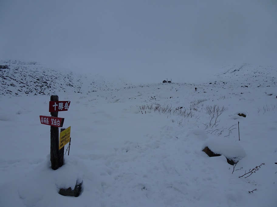 f:id:suteki-hokkaido:20211027212834j:plain