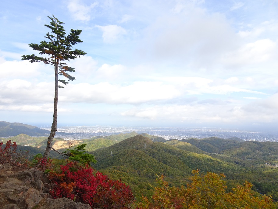f:id:suteki-hokkaido:20211027212935j:plain