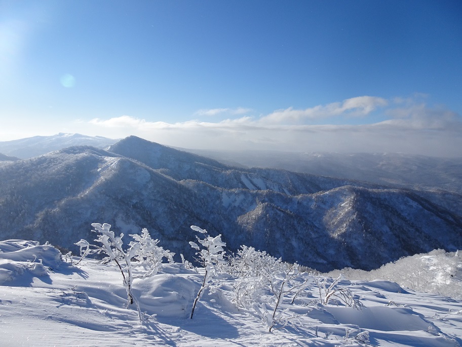 f:id:suteki-hokkaido:20220110141102j:plain