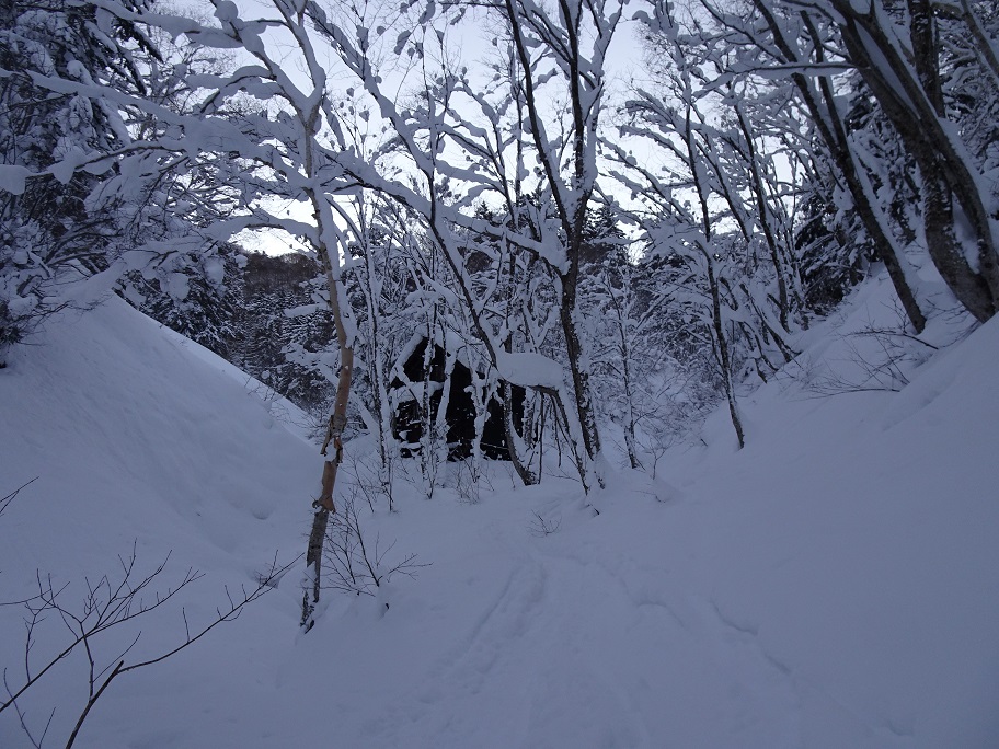 f:id:suteki-hokkaido:20220110141136j:plain