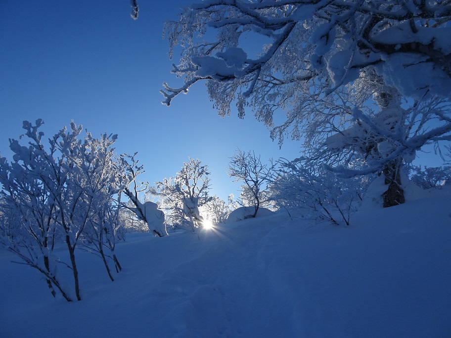 f:id:suteki-hokkaido:20220110141139j:plain