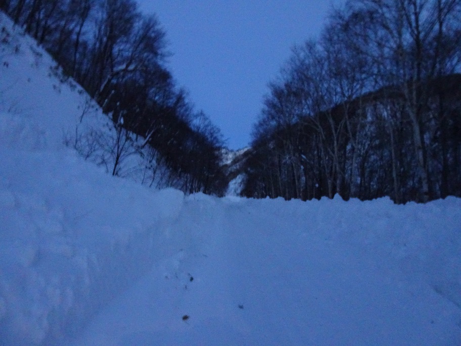 f:id:suteki-hokkaido:20220116142754j:plain