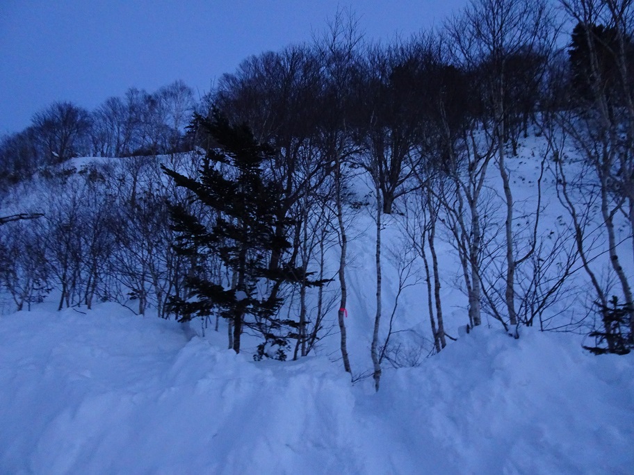 f:id:suteki-hokkaido:20220116142757j:plain