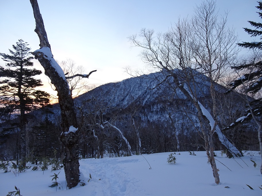 f:id:suteki-hokkaido:20220116142800j:plain