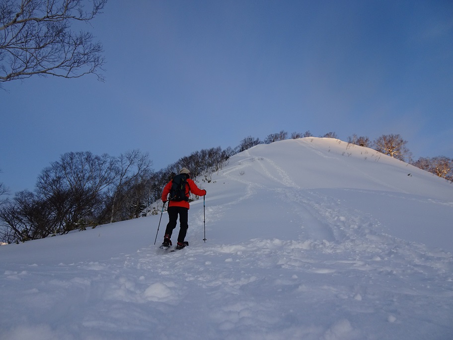 f:id:suteki-hokkaido:20220116142806j:plain