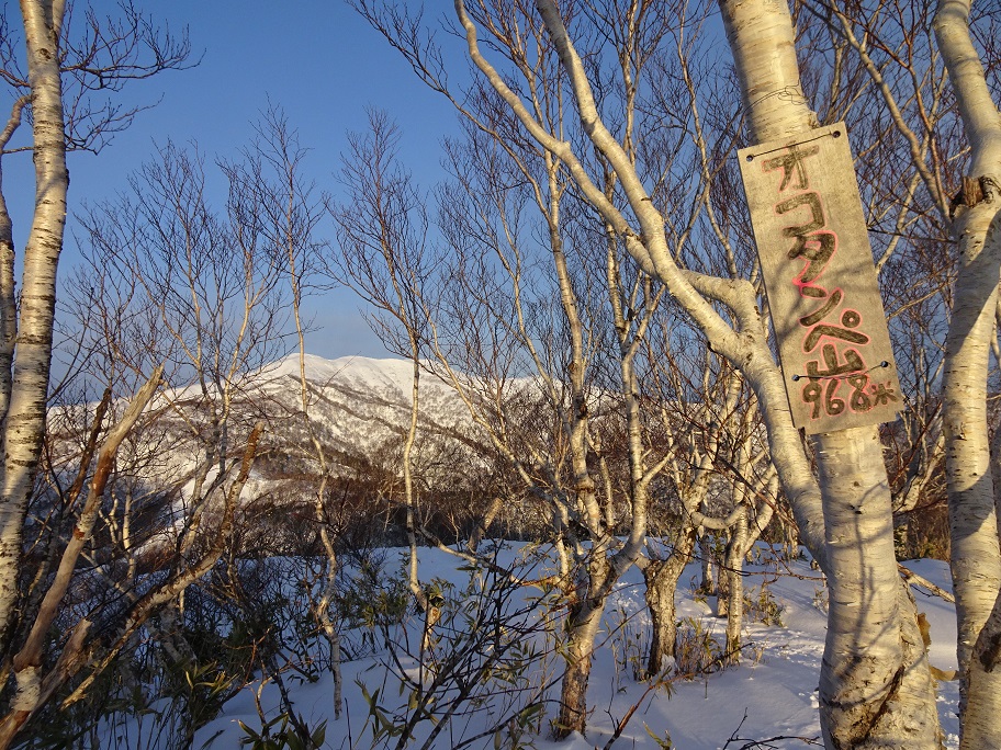 f:id:suteki-hokkaido:20220116142812j:plain