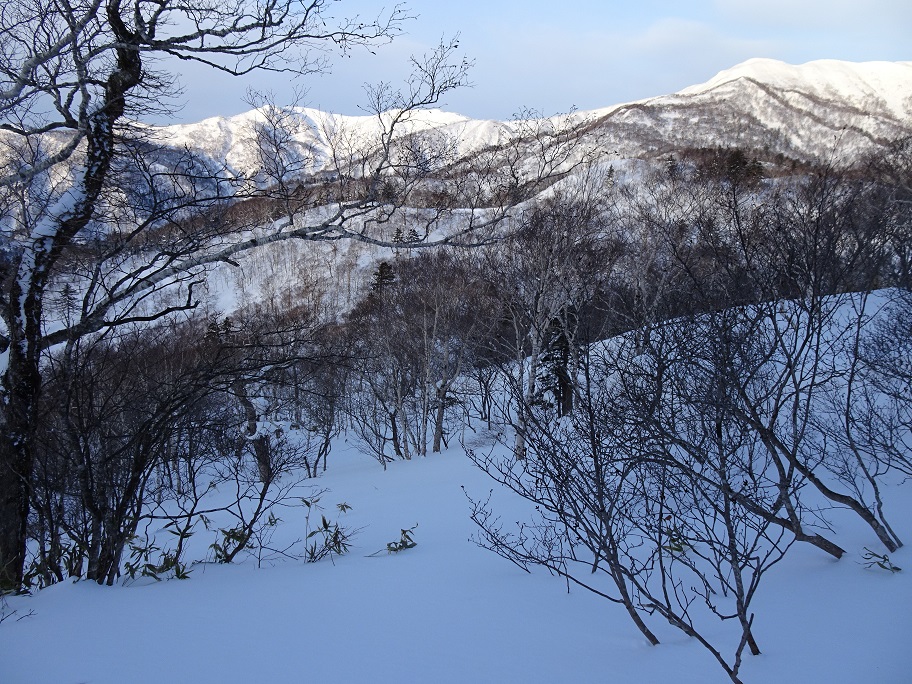 f:id:suteki-hokkaido:20220116142822j:plain