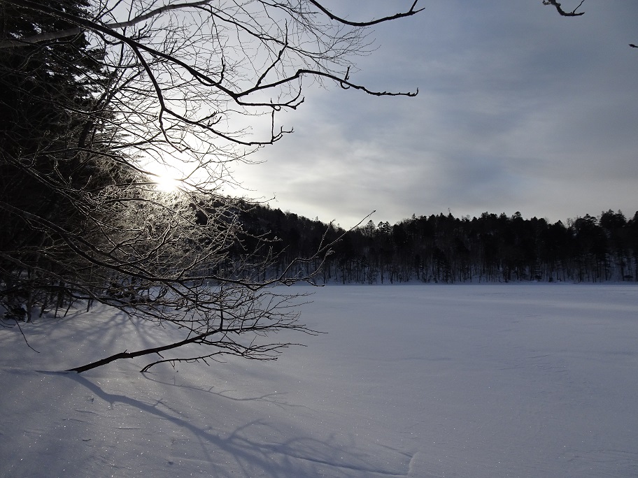 f:id:suteki-hokkaido:20220116142833j:plain