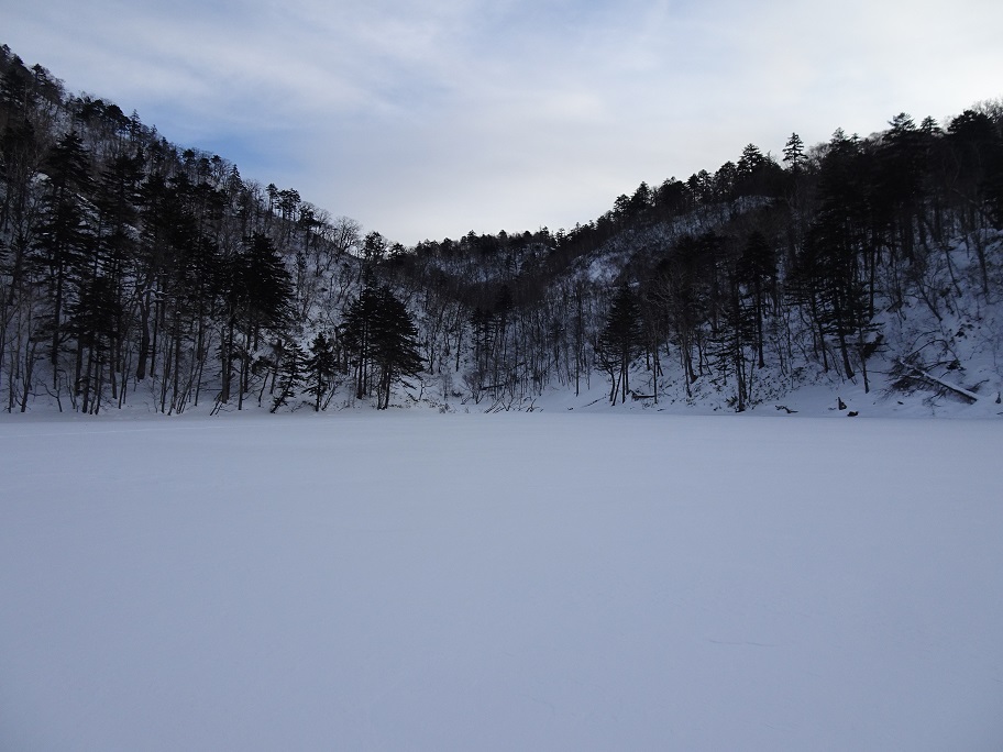 f:id:suteki-hokkaido:20220116142843j:plain
