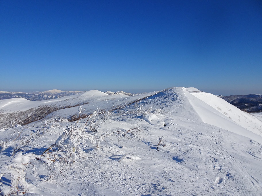 f:id:suteki-hokkaido:20220314204623j:plain