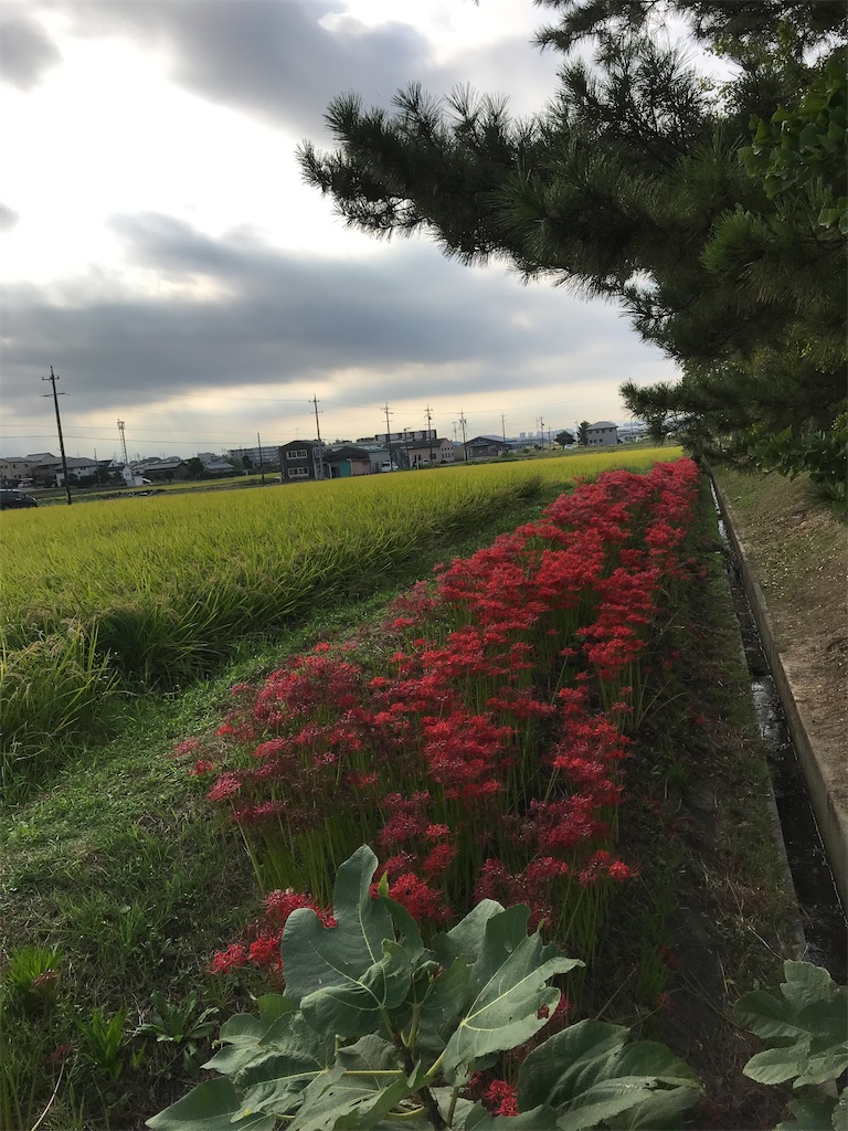 f:id:sutekidane:20201003100148j:image f:id:sutekidane:20201003100148j:image