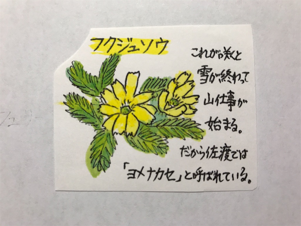 f:id:sutekidane:20201024091910j:image f:id:sutekidane:20201024091910j:image
