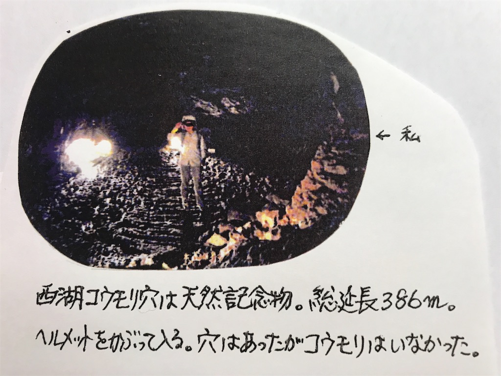 f:id:sutekidane:20201025094729j:image