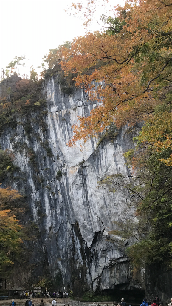 f:id:sutekidane:20201028201557p:image
