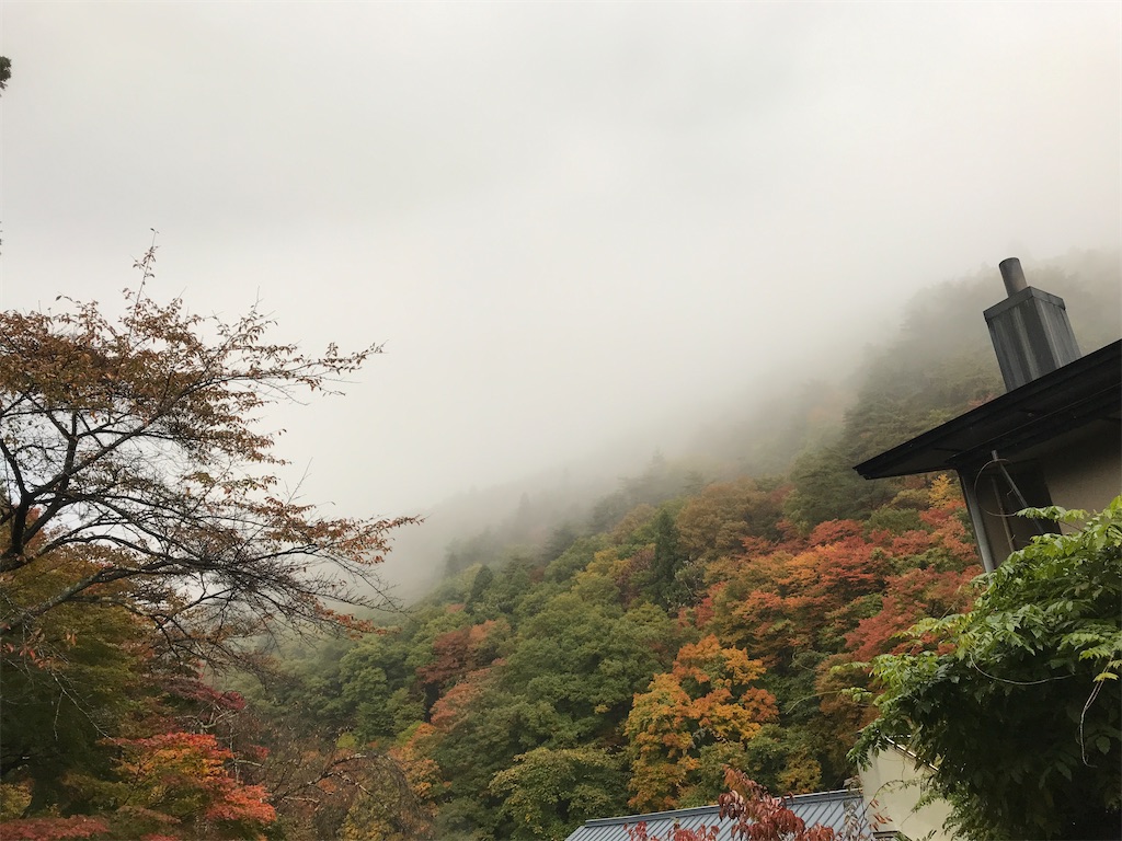 f:id:sutekidane:20201029205122j:image