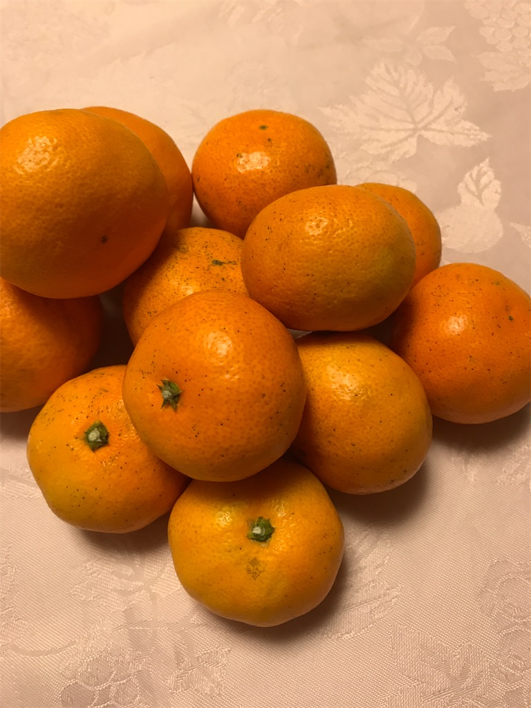f:id:sutekidane:20201205111441j:image f:id:sutekidane:20201205111441j:image