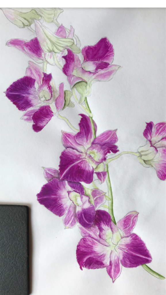 f:id:sutekidane:20201227094834p:image