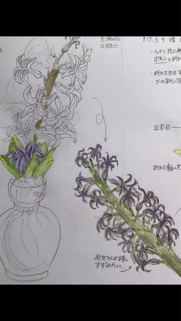 f:id:sutekidane:20201231071822p:image f:id:sutekidane:20201231071822p:image