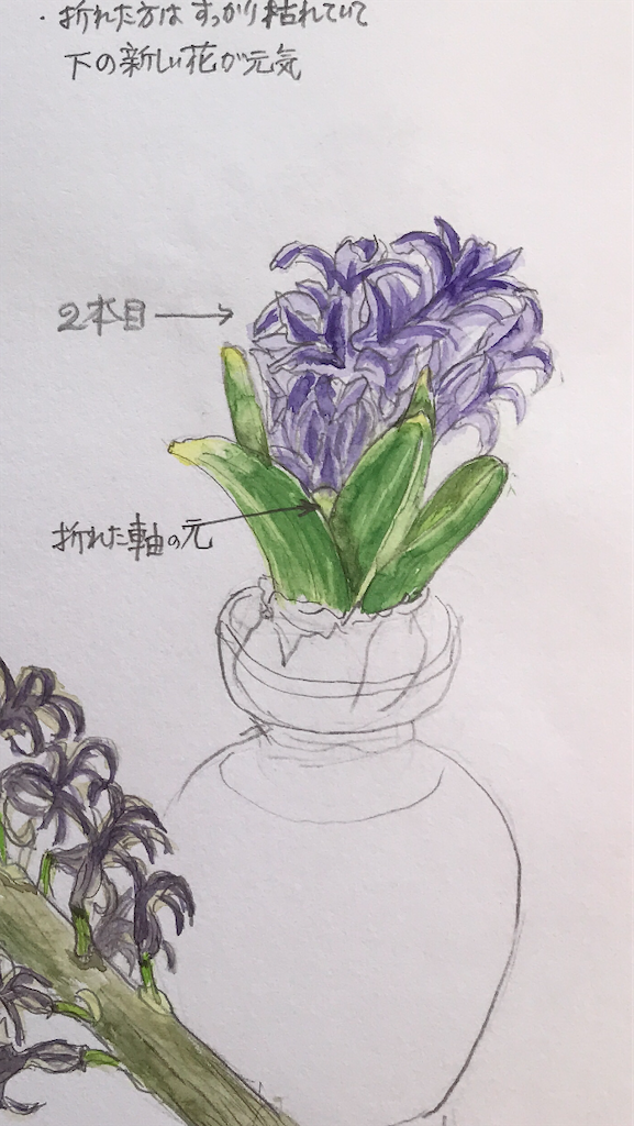 f:id:sutekidane:20201231073058p:image f:id:sutekidane:20201231073058p:image