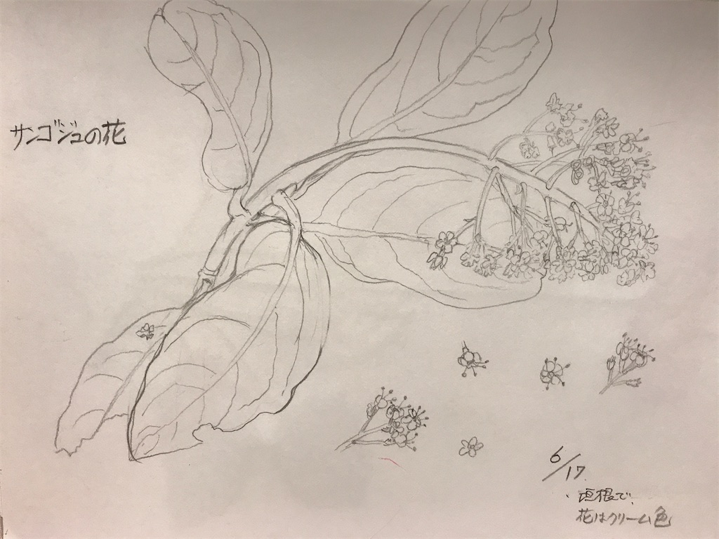f:id:sutekidane:20210104175254j:image f:id:sutekidane:20210104175254j:image