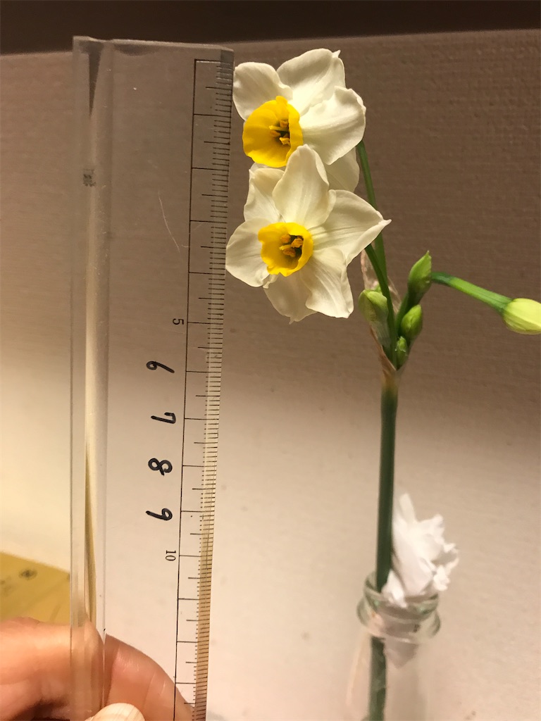 f:id:sutekidane:20210106110003j:image