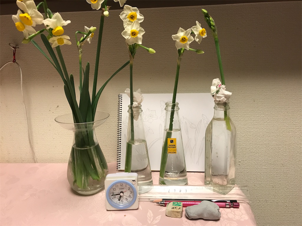 f:id:sutekidane:20210106110615j:image