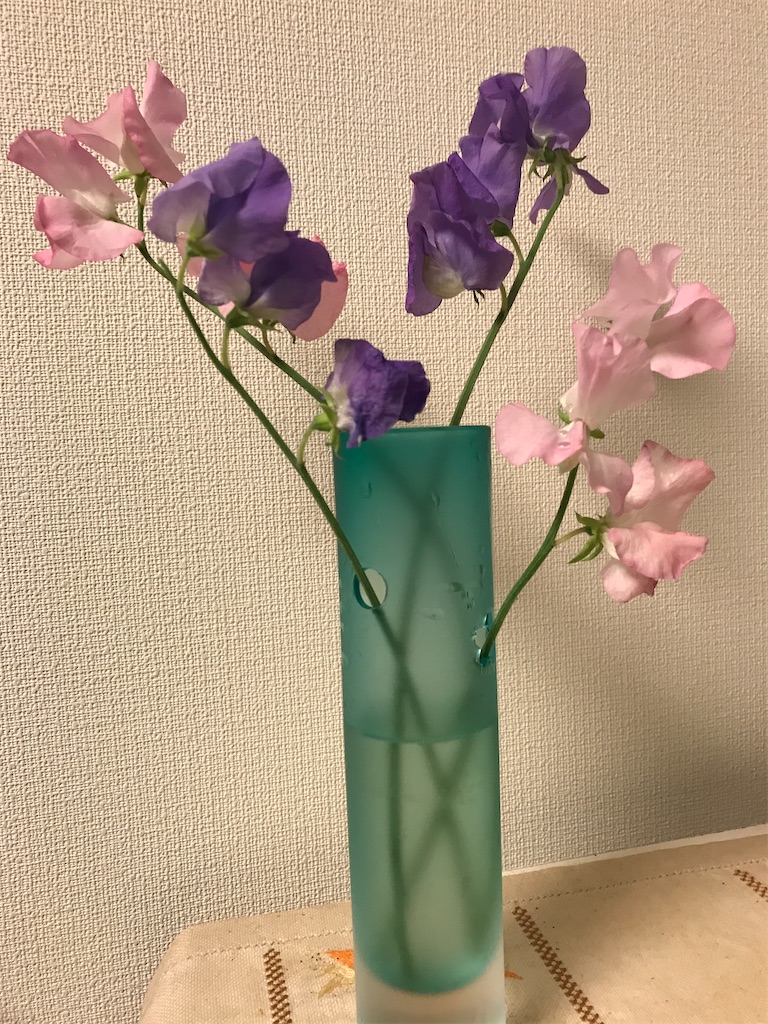 f:id:sutekidane:20210113103109j:image f:id:sutekidane:20210113103109j:image