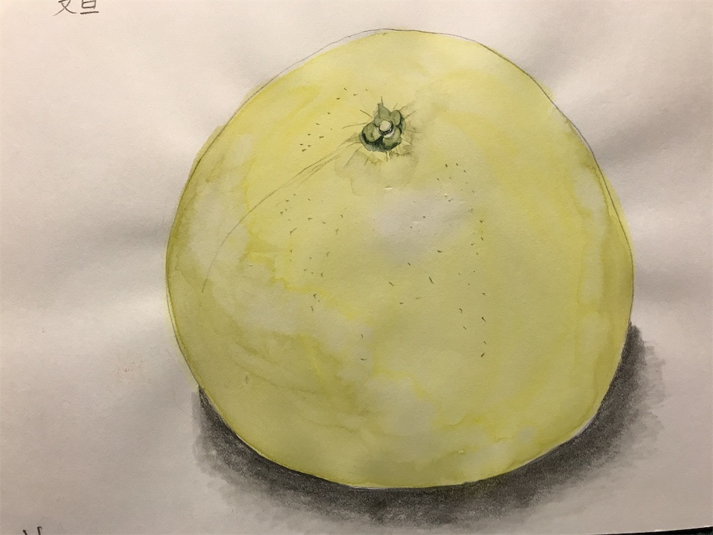 f:id:sutekidane:20210119043844j:image f:id:sutekidane:20210119043844j:image