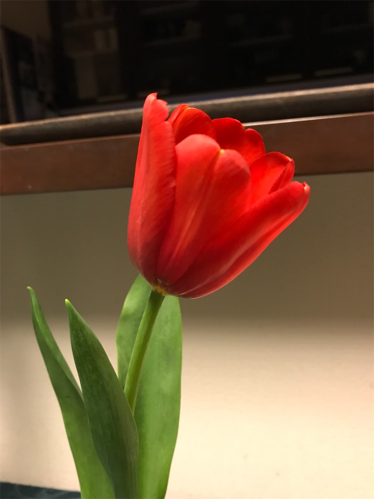 f:id:sutekidane:20210121095554j:image