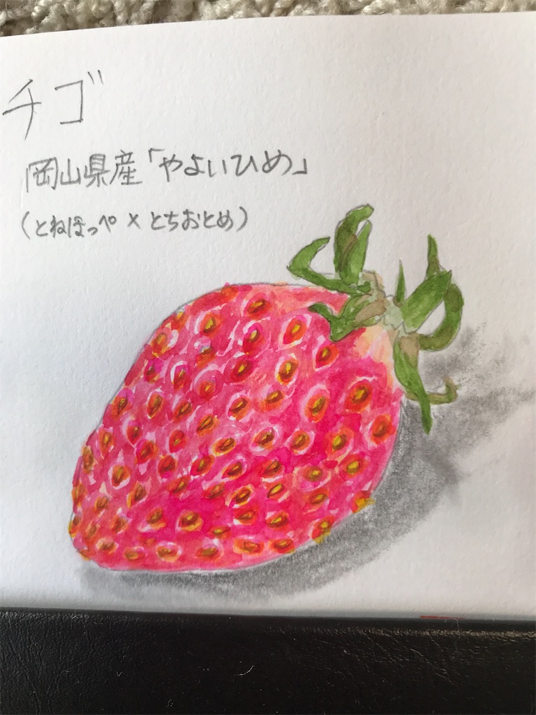 f:id:sutekidane:20210203065213j:image