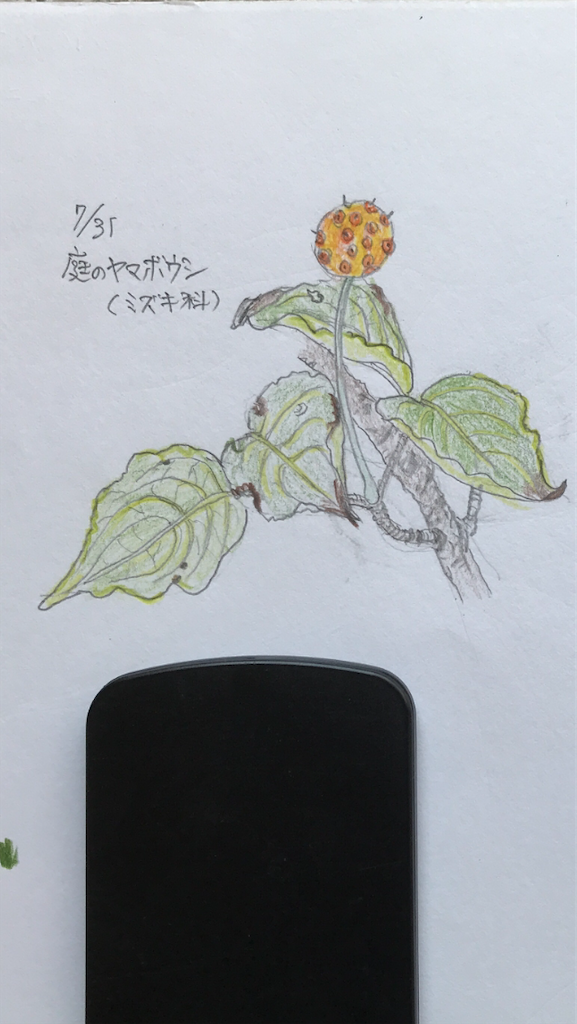 f:id:sutekidane:20210222144713p:image f:id:sutekidane:20210222144713p:image