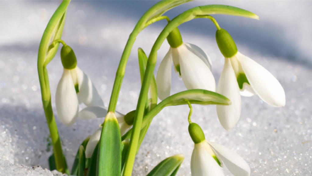f:id:sutekidane:20210307061154p:image f:id:sutekidane:20210307061154p:image