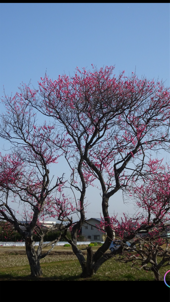 f:id:sutekidane:20210312145431p:image f:id:sutekidane:20210312145431p:image