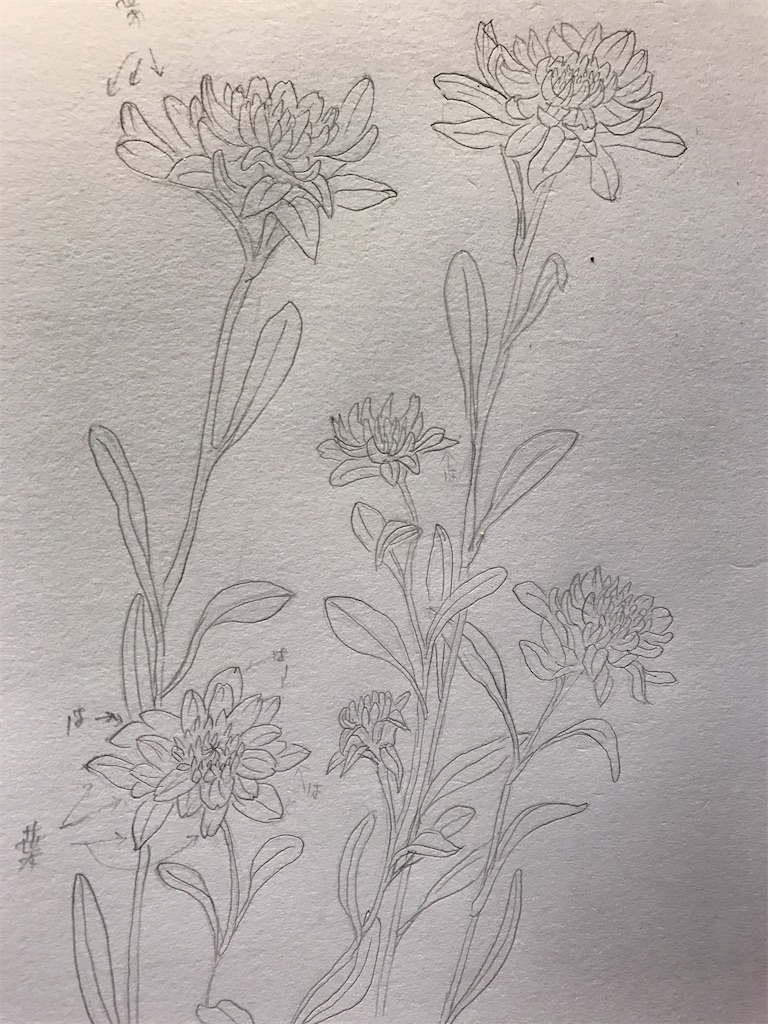 f:id:sutekidane:20210402155440j:image f:id:sutekidane:20210402155440j:image