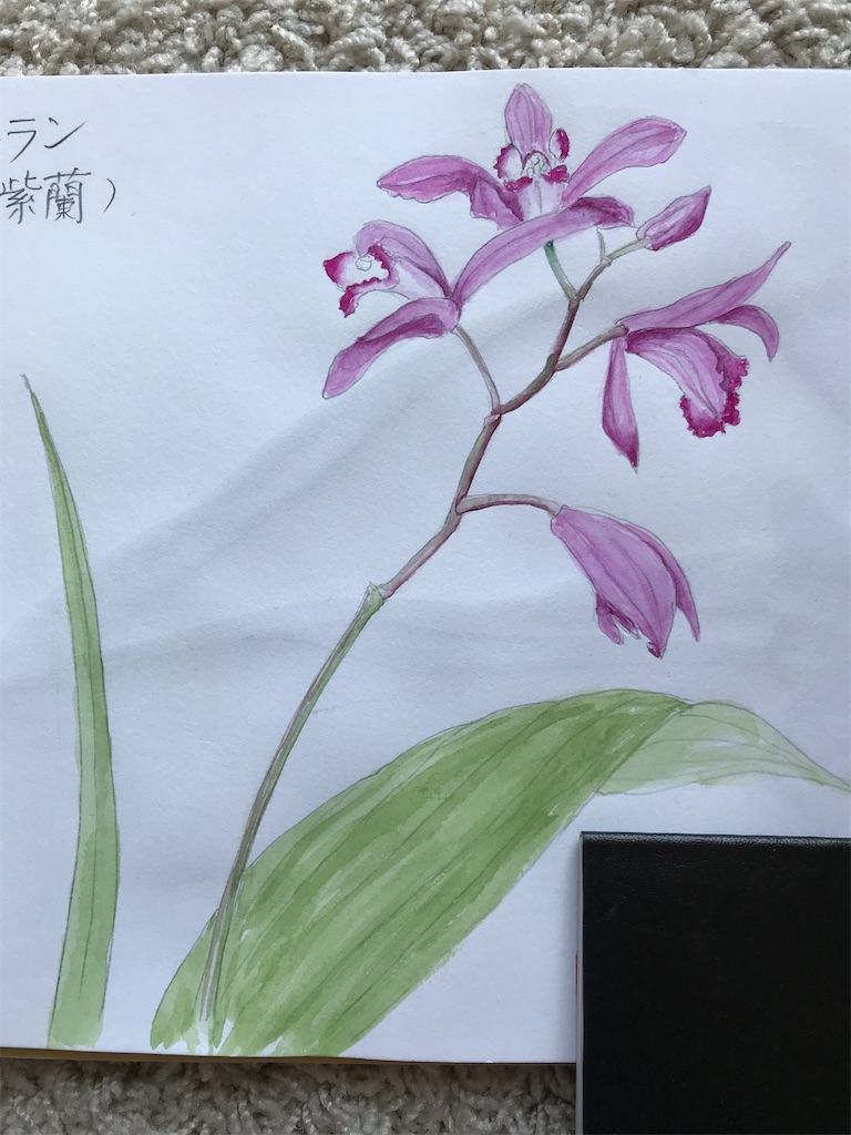 f:id:sutekidane:20210412085947j:image f:id:sutekidane:20210412085947j:image