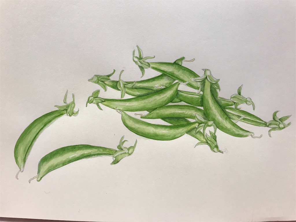 f:id:sutekidane:20210417160612j:image f:id:sutekidane:20210417160612j:image