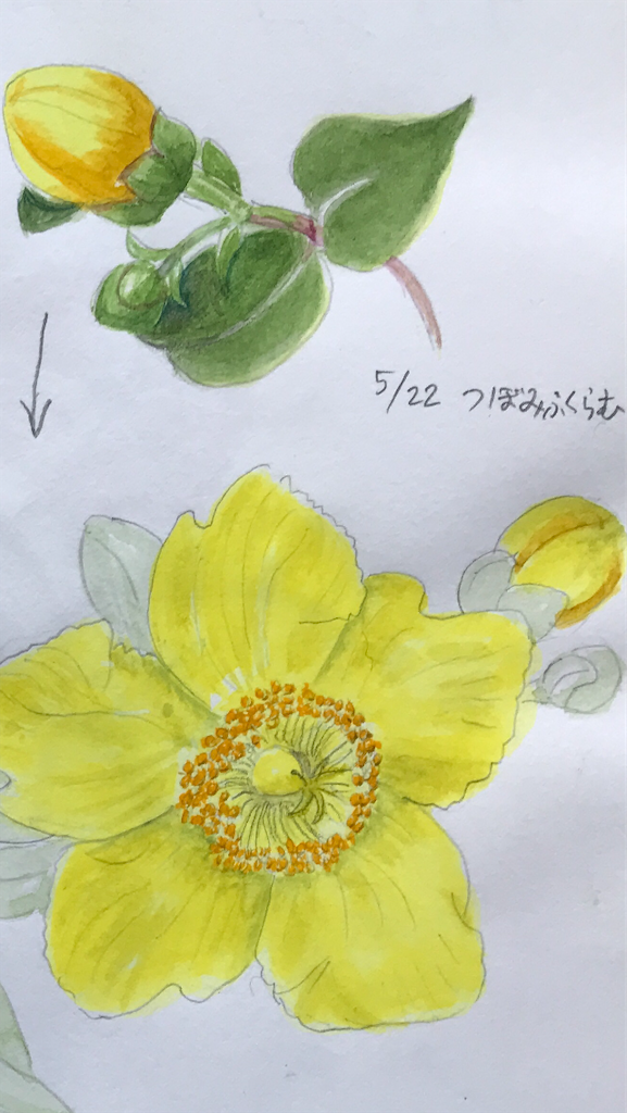 f:id:sutekidane:20210424082720p:image