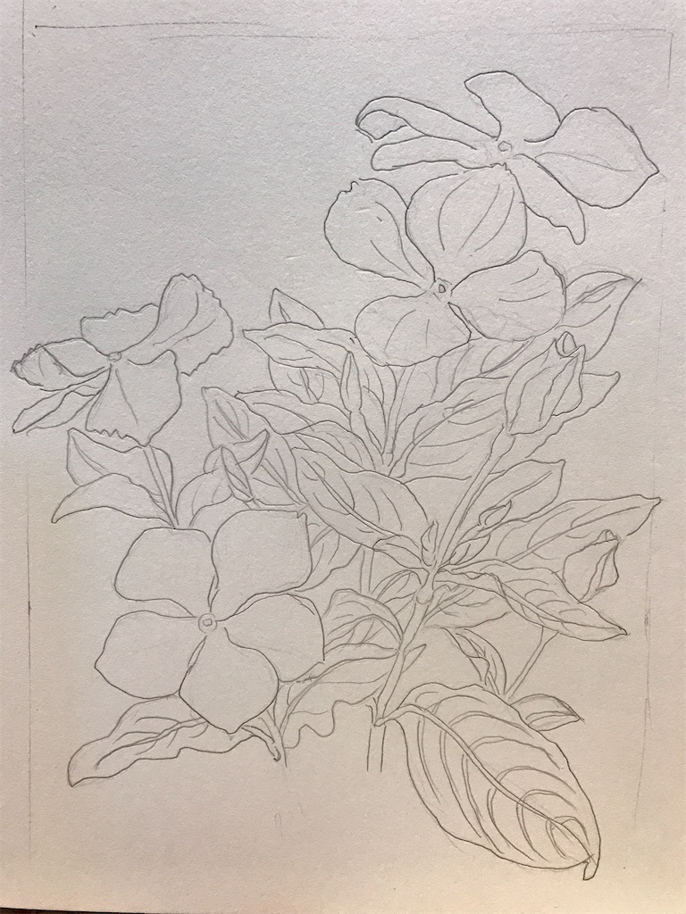 エミータs 360 ニチニチソウ ファン付き作業服 Sutekidaneの日記